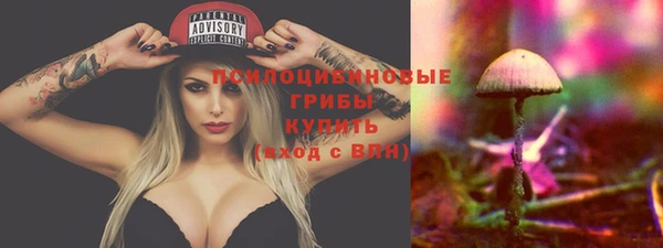 круглые Аркадак