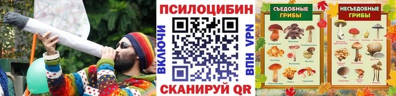 Галлюциногенные грибы Psilocybe закладки Лиски